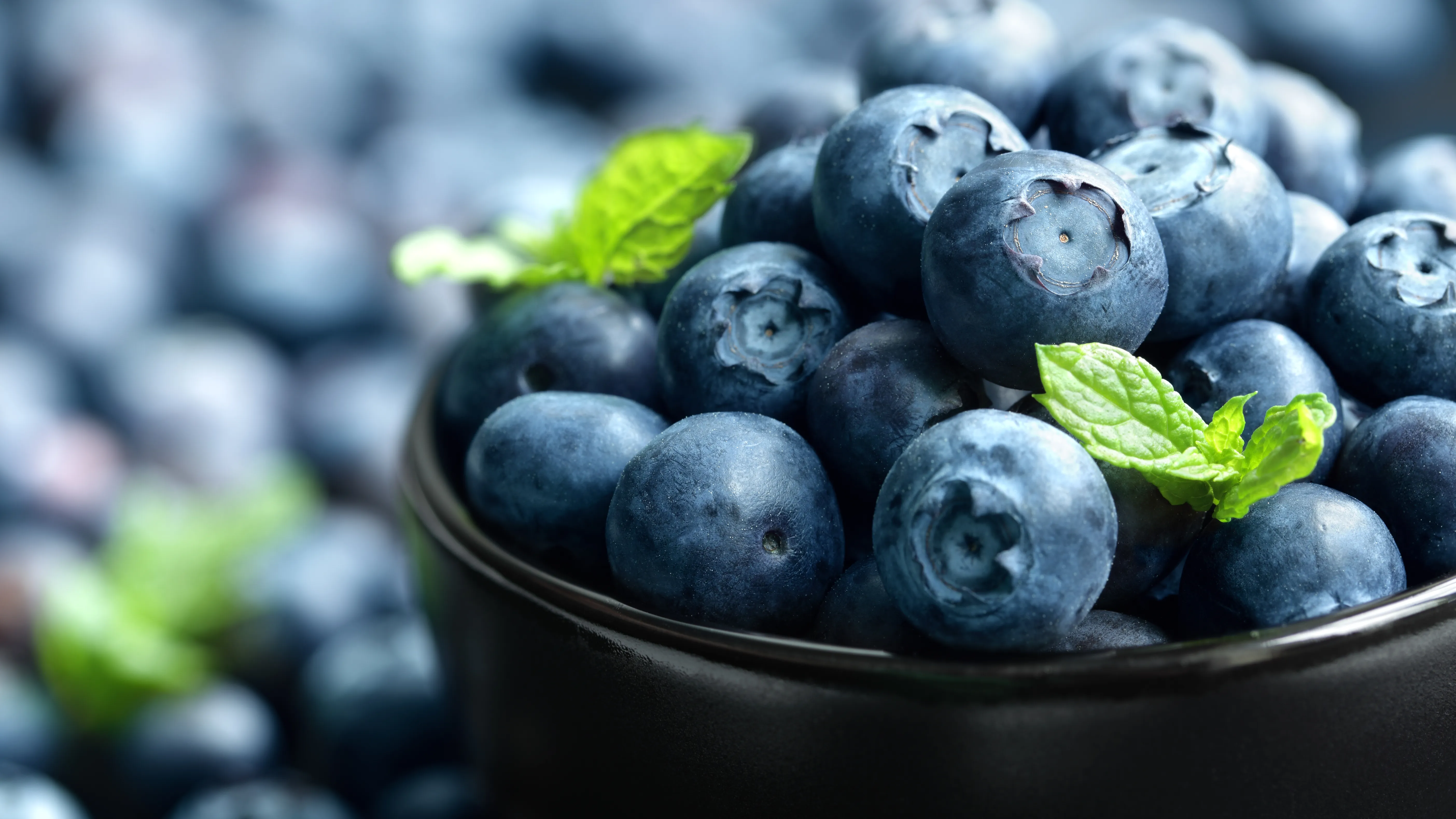 blueberry-539135_1280